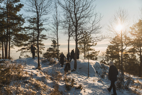 Oslo: Snow Hike to Vettakollen with Oslofjord Winter View Olso: Snow Hike to Vettakollen with Oslofjord Winter View