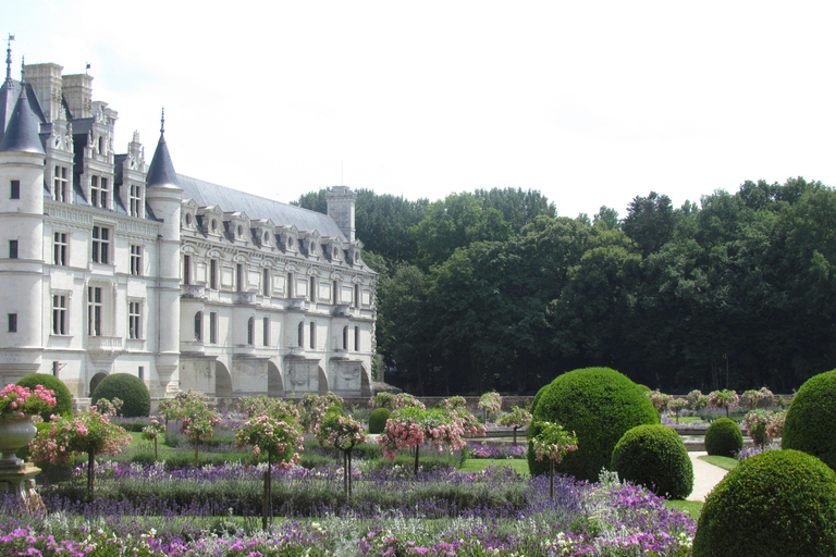 Chenonceaux: Château and Gardens Walking Tour with Entry