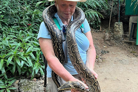 Mombasa: Mamba Village Krokodillen Voederen Tour.