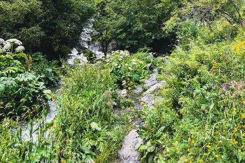 Kazbegi: Gveleti Waterfalls Private Tour with 4x4
