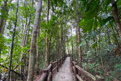 Krabi: Hot Springs, Emerald Pool, and Blue Pool Tour