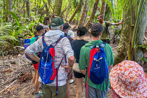 Uvita: Corcovado Rainforest & Wildlife Adventure