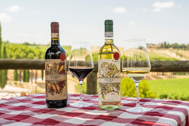 Montepulciano: Visit Tenuta Carpineto with Wine Museum and Tasting