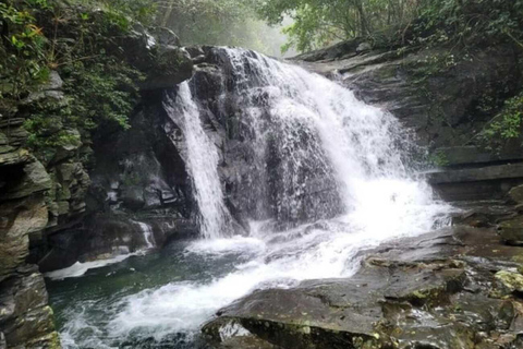 Parc national de Bach Ma : Randonnée d&#039;une journée visite privée - Hoi An/DaNang