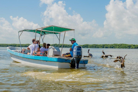 Excursies naar Lagartos, Coloradas en Playa CancúnitoMerida: Excursie naar het strand van Ria Lagartos, Coloradas & Cancunito