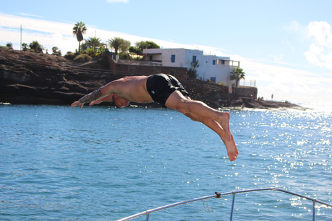 Costa Adeje: Delfin- och snorklingskryssning med snacks och dryckGemensam båttur