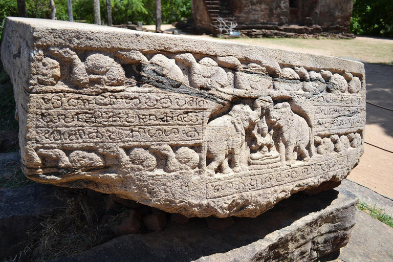 From Dambulla: Polonnaruwa Private Tuk-Tuk Tour with Guide