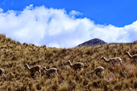 Huancaya: - Hidden Paradise Retreat