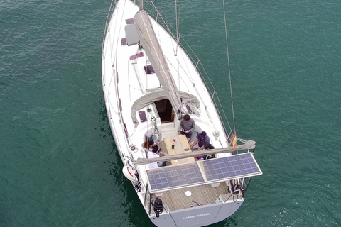 BAHÍA DE PALMA : TOUR PRIVADO DE 4 HORAS CON VELEROTOUR PRIVADO DE 4 HORAS BAHÍA DE PALMA CON VELERO