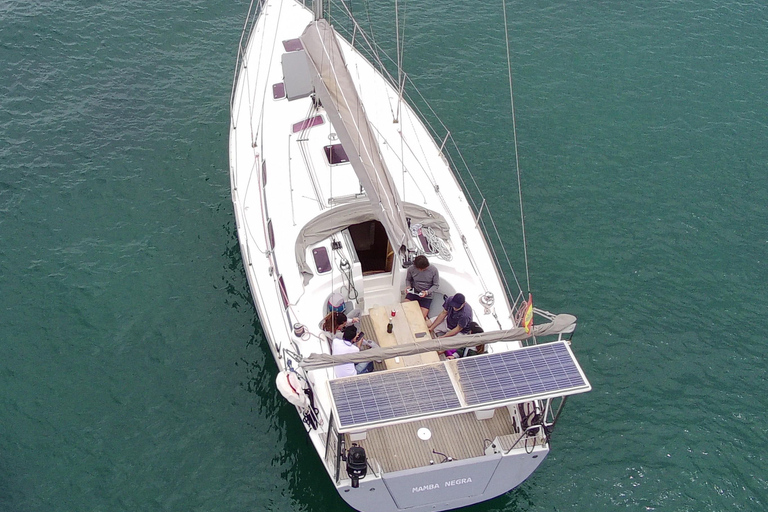 BAHÍA DE PALMA : TOUR PRIVADO DE 4 HORAS CON VELEROTOUR PRIVADO DE 4 HORAS BAHÍA DE PALMA CON VELERO