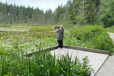 Passeio pelo Stanley Park EUC e E-scooters