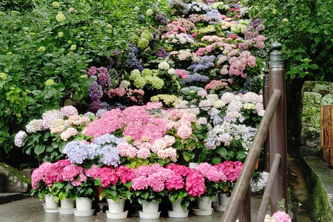 Nara: Entdecke die riesige Kannon-Statue und den Tempel am Steilhang von HasederaNara: Entdecke die riesige Kannon-Statue und den Tempel am Steilhang in Hasedera