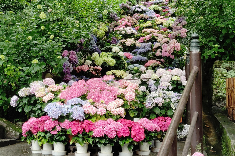 Nara: Entdecke die riesige Kannon-Statue und den Tempel am Steilhang von HasederaNara: Entdecke die riesige Kannon-Statue und den Tempel am Steilhang in Hasedera