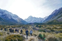 De Wall, Mt Cook Day Tour via Mukoki, geleira Tasman - Housity