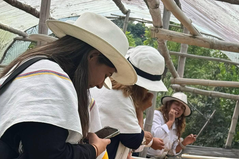 Bogotá: Choachí Farm-to-Cup Coffee Day Trip with Cupping