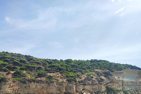 Private Boat Experience to Zahara and Trafalgar (6 hours) with Snorkeling and Appetizers Private Boat Experience to Zahara and Trafalgar (6 hours): Snorkeling and Aperitif