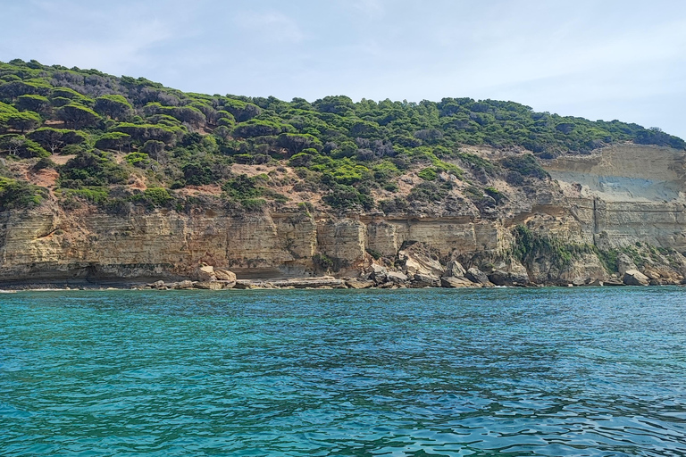 Private Boat Experience to Zahara and Trafalgar (6 hours) with Snorkeling and Appetizers Private Boat Experience to Zahara and Trafalgar (6 hours): Snorkeling and Aperitif