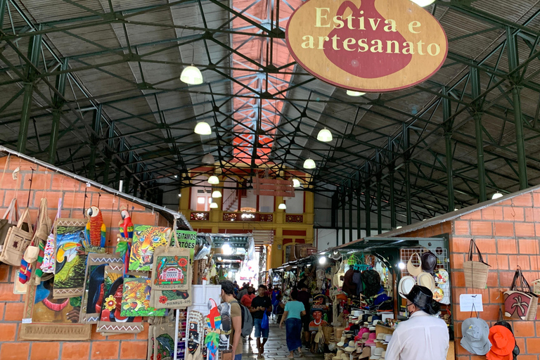 Manaus: Historical City Tour Historical City Tour