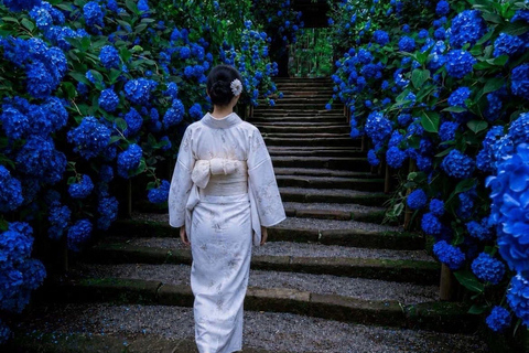 Kyoto & Osaka: Private Customizable Day Trip with Guide