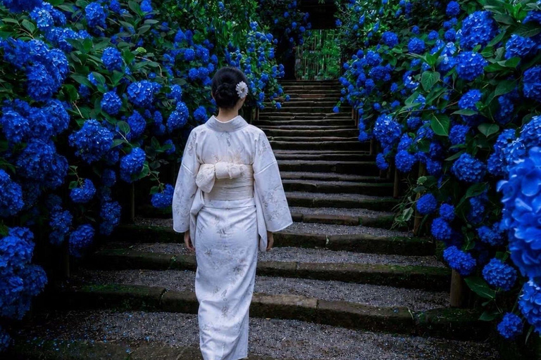 Kyoto & Osaka: Private Customizable Day Trip with Guide