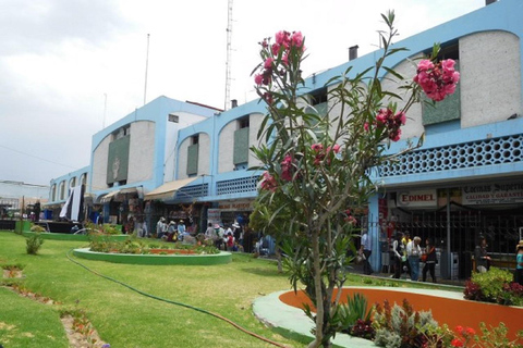 Arequipa: San Camilo Market Tour