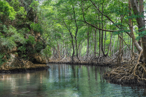 Punta Cana: Wycieczka po naturalnych basenach Los Haitises i Caño Hondo