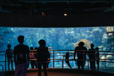 LA: Aquarium of the Pacific Skip-the-Line Entry