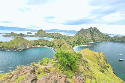 Labuan Bajo: Komodo National Park Private Speedboat Charter