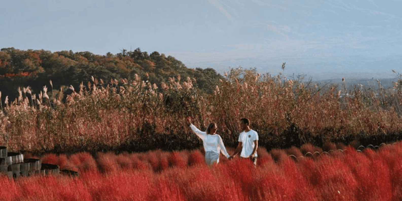 From Tokyo: Mt Fuji Private Day Tour In Luxury Land Cruiser