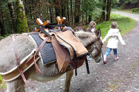 Luvigny: Donkey discovery walk Luvigny: Discovery walk with donkeys