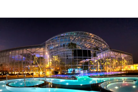 Bucharest: Therme (Transfer + 4.5Hours TICKET Galaxy+Palm)