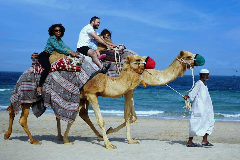 Doha : Safari dans le désert avec tour en quad