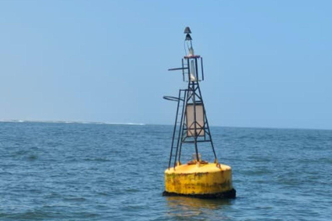 Walvis Bay Marine Cruise & Coastal Discovery
