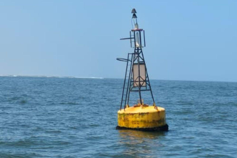 Walvis Bay Marine Cruise & Coastal Discovery