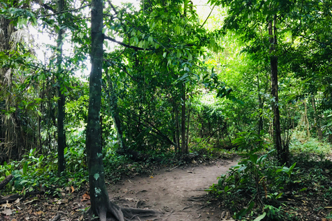 Krabi : Excursion d'une demi-journée à Emerald Pool et Hot Springs Waterfall