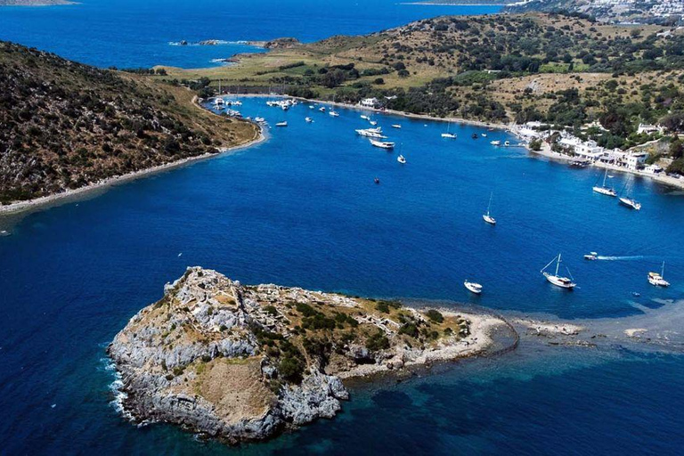 Bodrum: Guided Scuba Diving Experience with Transfer Single Dive Package (with Hotel Transfer)