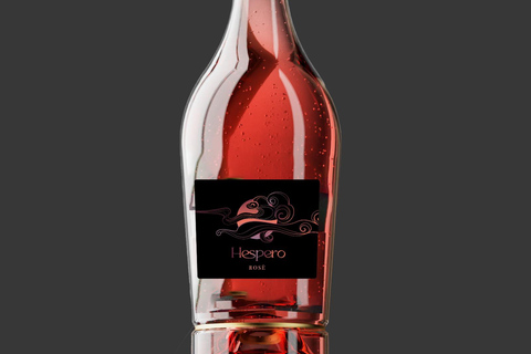 Peccioli: Wine tasting experience