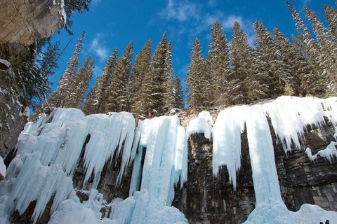 Avventura sul ghiaccio nel Johnston Canyon Un&#039;esperienza da favola invernale