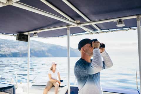 Funchal: Dolphin and Whale Watching Catamaran Cruise