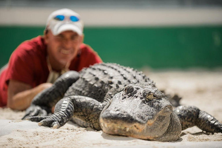 Miami: Everglades Adventure &amp; Big Bus Hop-on-hop-off-bustourMiami: Everglades Experience &amp; 1-daagse hop-on-hop-off-bustour