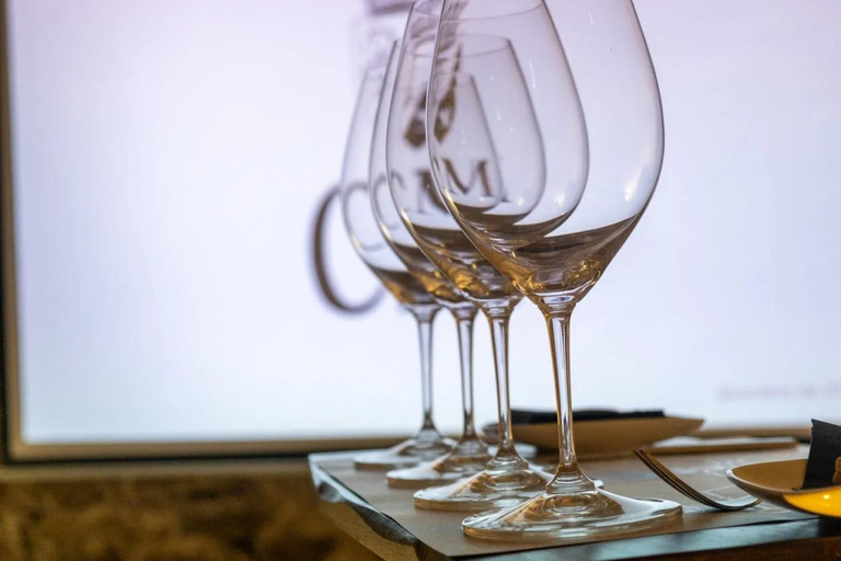 La Rioja: CM Matarromera Winery Tour