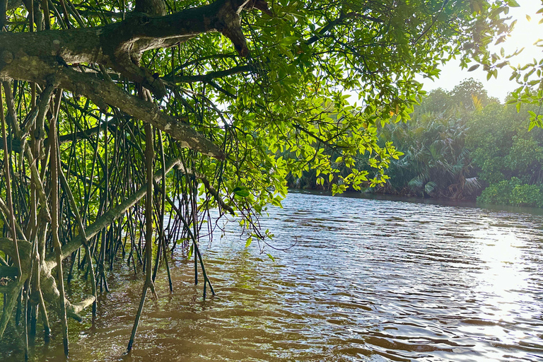 Negombo Dutch Canal & River Birding Wildlife Boat tour