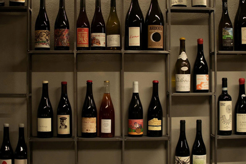 Wine Tasting with Local Bites in Pisa