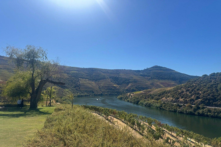 Porto: Douro Valley Half-Day Wine and Food Tour Tour with Hotel Pickup