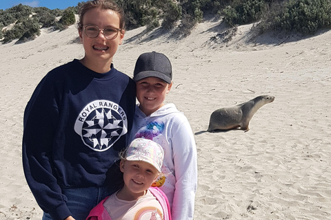 Adelaide: 2-Day Kangaroo Island Tour with Meals & Hotel