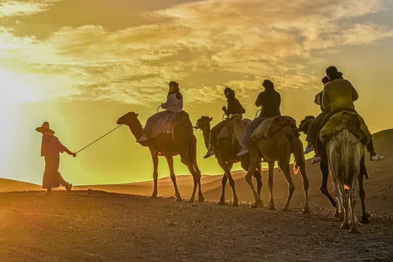 Balade à dos de chameau au coucher du soleil avec un dîner authentique dans une oasis - dromadaire
