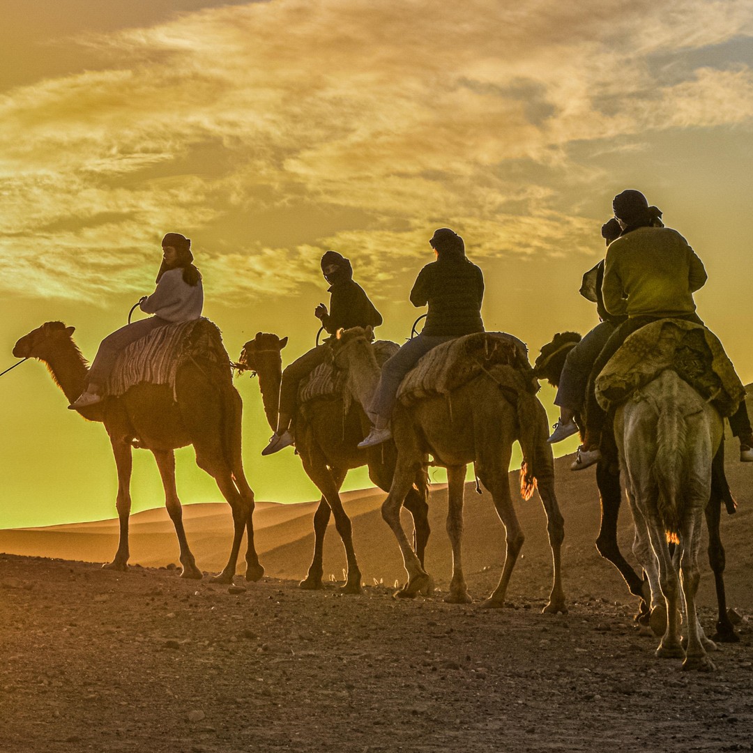 Balade à dos de chameau au coucher du soleil avec un dîner authentique dans une oasis - dromadaire