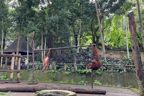 Lombok Wildlife Park and Sunset Escape Big Group