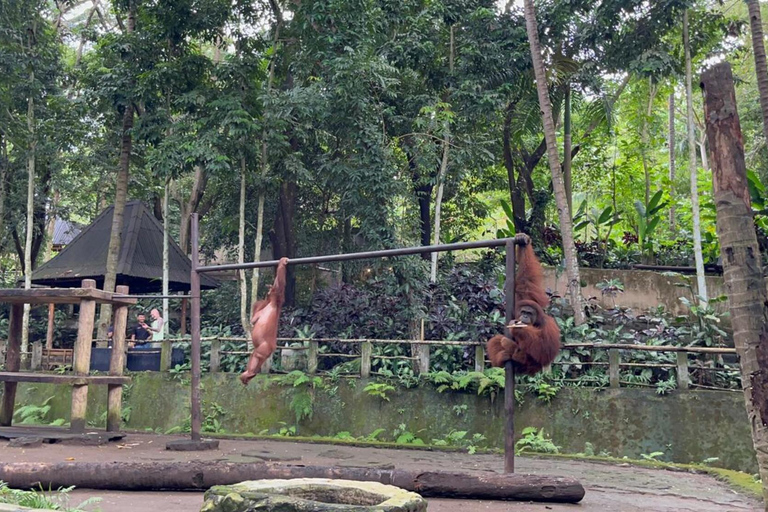 Lombok Wildlife Park and Sunset Escape Big Group