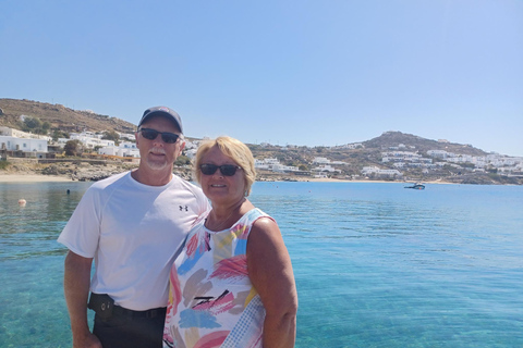 Mykonos: Visita guiada à fazenda, à vila de Ano Mera e às praias